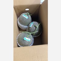 ☆＜予約販売＞鳥取県産ペルルメロン7ｋｇ “秀”（3玉）【6月上旬〜7月上旬頃発送】　★数量限定★