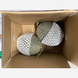 ☆＜予約販売＞鳥取県産ペルルメロン5ｋｇ “秀”（2玉）【6月上旬〜7月上旬頃発送】　★数量限定★