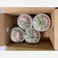 ☆＜予約販売＞鳥取県産マルセイユメロン5ｋｇ “秀”（4玉〜5玉）【6月上旬〜7月上旬頃発送】　★数量限定★