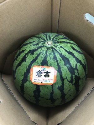 画像2: ☆＜予約販売＞倉吉スイカ “秀”　4L（1玉、約9.5ｋｇ）【6月上旬〜7月上旬頃発送】　
