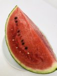 画像5: ☆＜予約販売＞倉吉スイカ “秀”　4L（1玉、約9.5ｋｇ）【6月上旬〜7月上旬頃発送】　 (5)