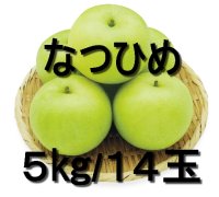 ☆＜先行予約販売＞『鳥取県限定品種』　なつひめ ５kg 詰 （１４玉入/３Ｌサイズ）【ギフトに最適】【８月中旬より順次発送予定】