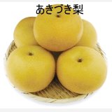 【予約販売】大山町産・あきづき  “赤秀”  ５kg 詰 （1６玉入/２Ｌサイズ）【ギフトに最適】【発送：９月中旬以降】
