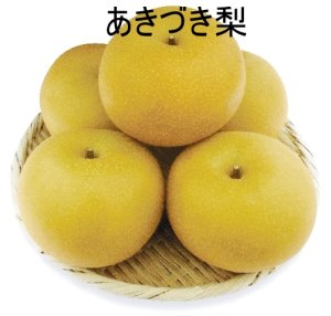 画像1: ☆【先行予約販売】大山町産・あきづき  “赤秀”  ３kg 詰 （９〜１０玉入/３〜２Ｌサイズ）９月上旬で発送