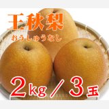 ☆【先行予約販売】大山町産・王秋梨（おうしゅうなし） ２kg 詰 （３玉入）【ギフトに最適】【１１月初旬頃より発送】
