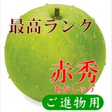 ☆＜先行予約販売＞鳥取県大山町産・二十世紀梨（20世紀梨）最高ランク “赤秀” 5kg 詰 （１２〜１４玉入/４L〜３Ｌサイズ）【ギフトに最適】【８月下旬頃より順次発送】※サイズ、玉数のご指定はお受け出来ません。どちらかのサイズ、玉数でのお届けになります。