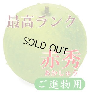 画像2: ☆当店限定！数量限定！＜先行予約販売＞鳥取県大山町産・二十世紀梨（20世紀梨）＆新甘泉　最高ランク “赤秀” ３個ずつの詰め合わせ　合計６玉（４L〜３L）【８月下旬頃より順次発送】※サイズ、玉数のご指定はお受け出来ません。どちらかのサイズ、玉数でのお届けになります。