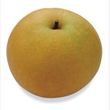 ☆【先行予約販売】大山町大山町産・新興梨（しんこうなし）  最高ランク “赤秀”  ５kg 詰 （８〜1０玉入/４〜３Ｌサイズ）【ギフトに最適】【発送予定期間：10月上旬頃〜】※サイズ、玉数のご指定はお受け出来ません。どちらかのサイズ、玉数でのお届けになります。