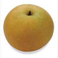 ☆【先行予約販売】大山町大山町産・新興梨（しんこうなし）  最高ランク “赤秀”  ５kg 詰 （８〜1０玉入/４〜３Ｌサイズ）【ギフトに最適】【発送予定期間：10月上旬頃〜】※サイズ、玉数のご指定はお受け出来ません。どちらかのサイズ、玉数でのお届けになります。