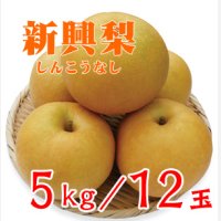 ☆【先行予約販売】大山町産・新興梨（しんこうなし）  最高ランク “赤秀”  ５kg 詰 （1２玉入/２Ｌサイズ）【ギフトに最適】　【発送予定期間：10月上旬頃〜】