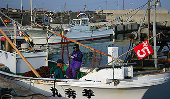 名和,みそ,味噌,塩谷糀味噌,大山,大山町,鳥取県,鳥取,とっとり,だいせん,恵みの里,道の駅,御来屋,糀,通販,販売,取り寄せ,ふるさと便