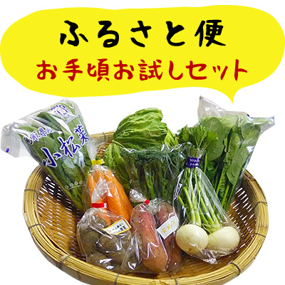 ふるさと便　お手頃お試しセット　新鮮な大山町産の旬野菜をお手軽価格でお届けします　　　　　　　　　　　　　　　　　　　　　　　　　　　　　　　　