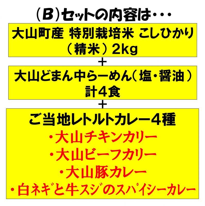 大山恵みの里 通販サイト:◇学生さん・単身さん応援！［Bセット］◇お米２kg ・ラーメン４食・レトルトカレー４種のセット【税・送料込み】