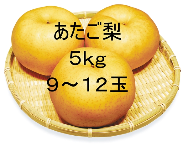 ☆【先行予約販売】大山町産・あたご梨 5kg 詰 （9~12玉入）11月下旬発送【お歳暮ギフトに最適】