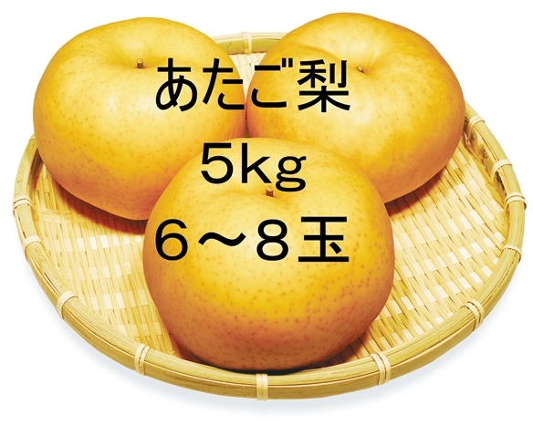 ☆【先行予約販売】大山町産・あたご梨 5kg 詰 （6~8玉入）11月下旬発送【お歳暮ギフトに最適】