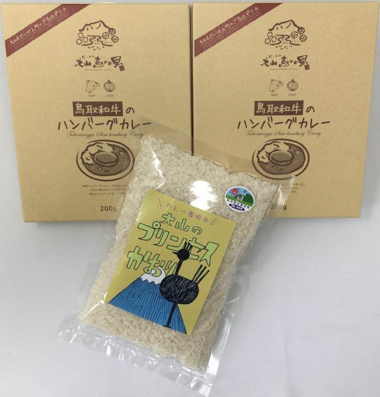 【オリジナルギフト】鳥取和牛のハンバーグカレー セット　（カレー2食・カレー専用米300ｇ）