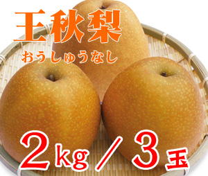 ☆【先行予約販売】大山町産・王秋梨（おうしゅうなし） ２kg 詰 （３玉入）【ギフトに最適】【１１月初旬頃より発送】