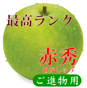 ☆＜先行予約販売＞鳥取県大山町産・二十世紀梨（20世紀梨）最高ランク “赤秀” 3kg 詰 （10〜11玉入/２Ｌ〜Ｌサイズ）【ギフトに最適】【８月下旬頃より順次発送】