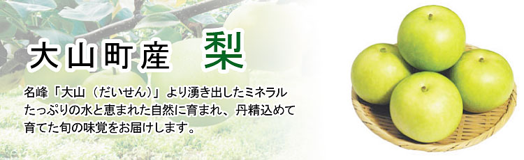 鳥取,大山,梨,二十世紀梨,王秋,新甘泉,新興,通販,お取り寄せ,贈答