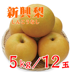 ☆【先行予約販売】大山町産・新興梨（しんこうなし）  最高ランク “赤秀”  ５kg 詰 （1２玉入/２Ｌサイズ）【ギフトに最適】　【発送予定期間：10月上旬頃〜】