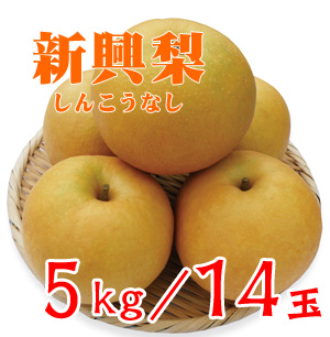 ☆【先行予約販売】大山町産・新興梨（しんこうなし）  最高ランク “赤秀”  ５kg 詰 （1４玉入/Ｌサイズ）【ギフトに最適】　【発送予定期間：10月上旬頃〜】