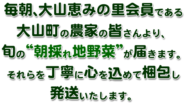 大山町産の朝採れ地野菜をお届けします