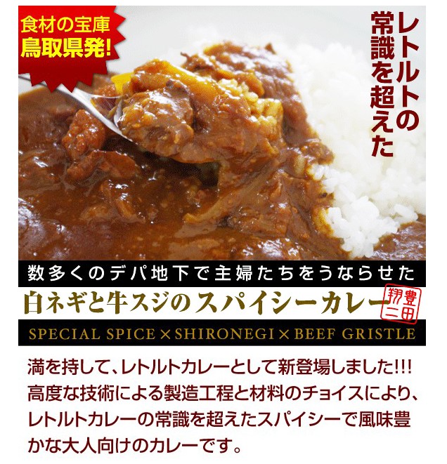 大山恵みの里　通販サイト:白ネギと牛スジのスパイシーカレー（レトルト）1食入り