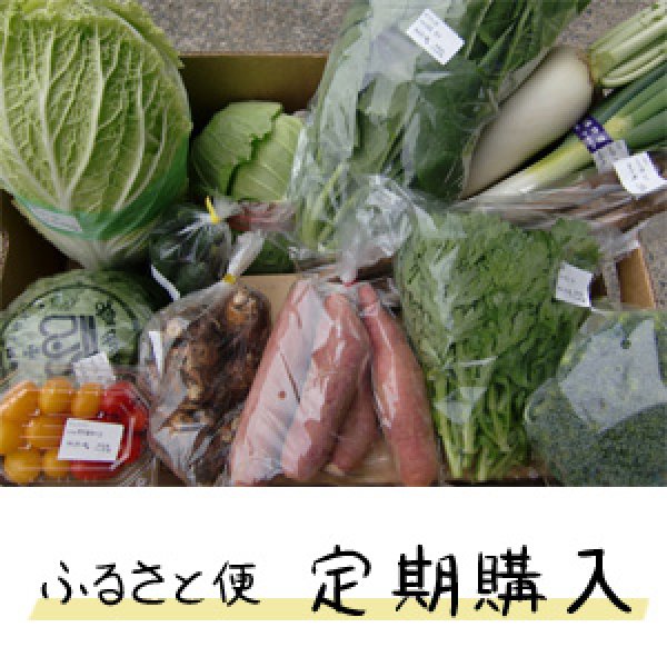 画像3: 【定期コース】ふるさと定期便 新鮮な大山町産の旬野菜を箱いっぱいに詰めました                                    (3)