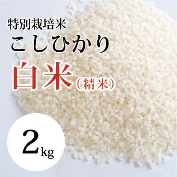 画像1: 特別栽培米こしひかり(白米） 2kg （令和5年 大山町産） (1)