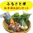 画像1: ふるさと便　お手頃お試しセット　新鮮な大山町産の旬野菜をお手軽価格でお届けします　　　　　　　　　　　　　　　　　　　　　　　　　　　　　　　　 (1)