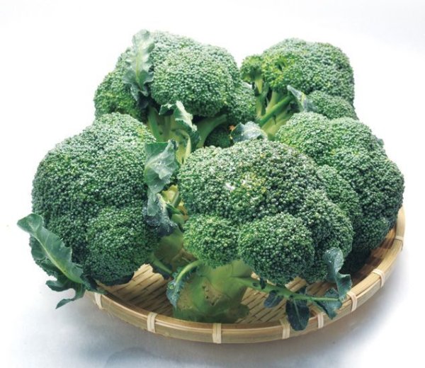 画像1: 大山ブロッコリー『きらきらみどり』５本入り（冷蔵）　【11月上旬より順次発送予定】 (1)