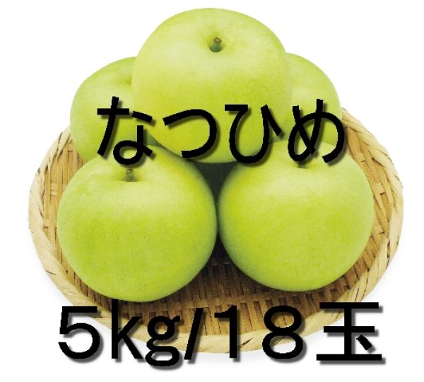 画像1: ☆＜先行予約販売＞『鳥取県限定品種』　なつひめ ５kg 詰 （１８玉入/Ｌサイズ）【ギフトに最適】【８月中旬より順次発送予定】 (1)