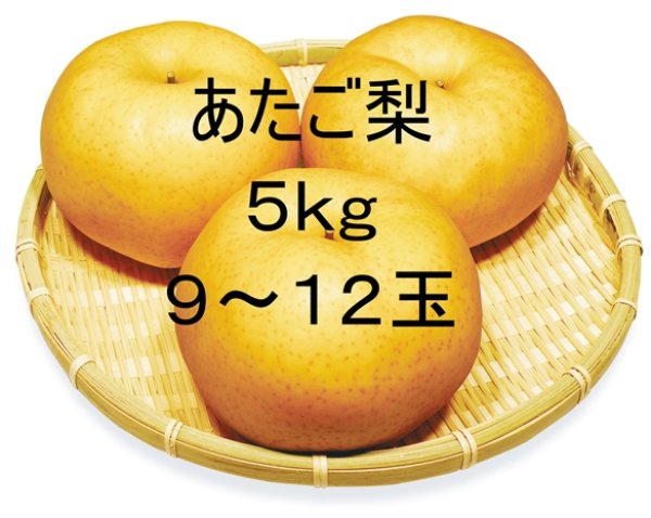画像1: ☆【先行予約販売】大山町産・あたご梨 5kg 詰 （9~12玉入）11月下旬発送【お歳暮ギフトに最適】※玉数のご指定はお受け出来ません。どちらかの玉数でのお届けになります。 (1)