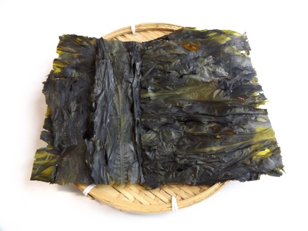 画像2: 【リヴよどえ】天然板わかめ15g (2)