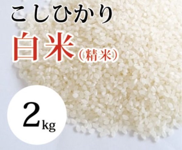 画像1: 大山町産こしひかり【大山の一粒】(白米） 2kg （令和8年 大山町産） (1)