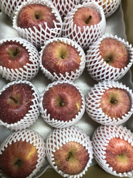 画像3: 【予約販売】＜大山町産＞ふじりんご　3kg 13玉〜14玉入り　家庭用（小玉）【12月中旬〜1月中旬頃の発送】 (3)