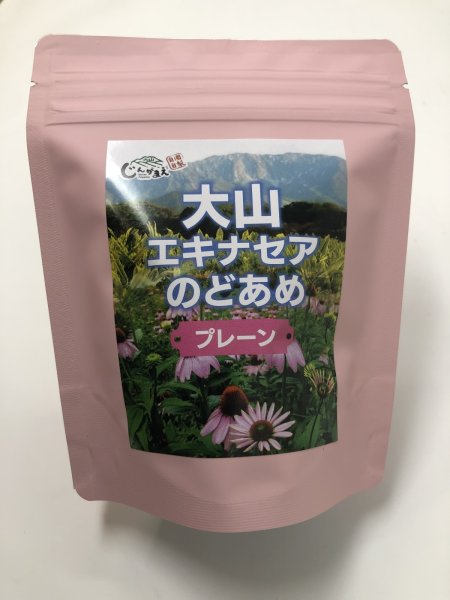 画像1: 【大山じんがまえ】大山エキナセアのど飴　プレーン (1)