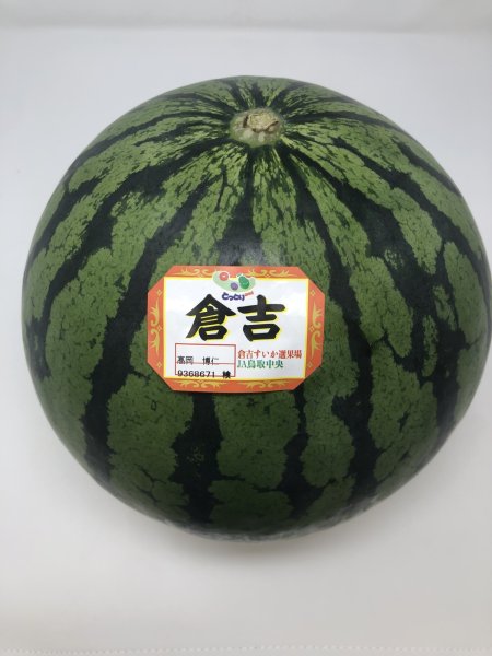 画像1: ☆＜予約販売＞倉吉スイカ “秀”　特（1玉、約11ｋｇ）【6月上旬〜7月上旬頃発送】　 (1)