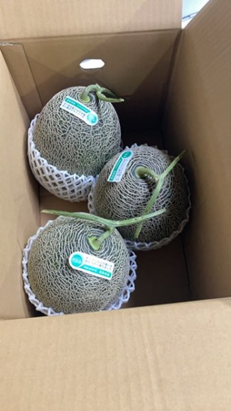 画像1: ☆＜予約販売＞鳥取県産ペルルメロン7ｋｇ “秀”（3玉）【6月上旬〜7月上旬頃発送】　★数量限定★ (1)