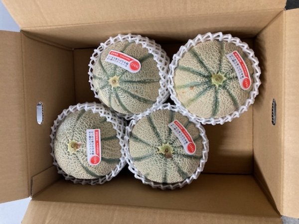 画像1: ☆＜予約販売＞鳥取県産マルセイユメロン5ｋｇ “秀”（4玉〜5玉）【6月上旬〜7月上旬頃発送】　★数量限定★ (1)