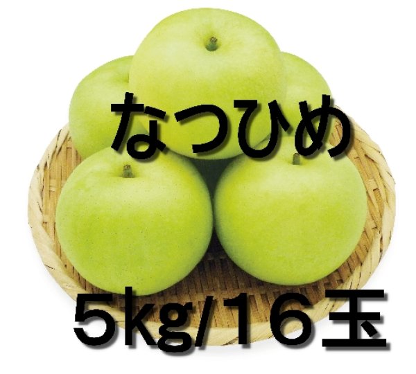 画像1: ☆＜先行予約販売＞『鳥取県限定品種』　なつひめ ５kg 詰 （１６玉入/２Ｌサイズ）“赤秀”【ギフトに最適】【８月中旬より順次発送予定】 (1)