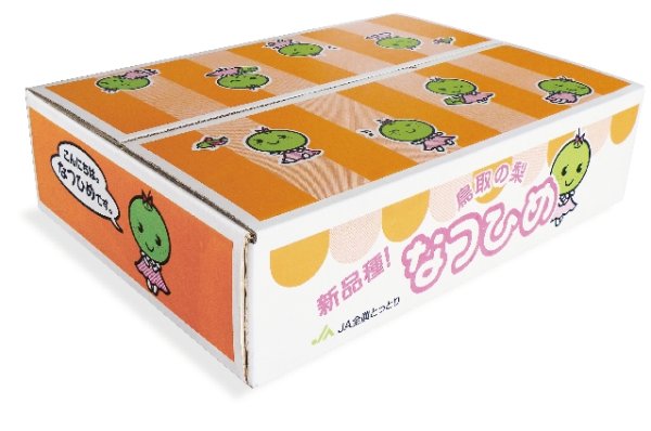 画像3: ☆＜先行予約販売＞『鳥取県限定品種』　なつひめ ５kg 詰 （１６玉入/２Ｌサイズ）“赤秀”【ギフトに最適】【８月中旬より順次発送予定】 (3)