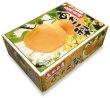 画像2: ☆【先行予約販売】大山町産・あたご梨 5kg 詰 （6~8玉入）11月下旬発送【お歳暮ギフトに最適】※玉数のご指定はお受け出来ません。どちらかの玉数でのお届けになります。 (2)