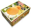 画像2: ☆【先行予約販売】大山町産・あたご梨 5kg 詰 （6~8玉入）11月下旬発送【お歳暮ギフトに最適】 (2)