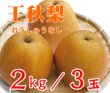 画像1: ☆【先行予約販売】大山町産・王秋梨（おうしゅうなし） ２kg 詰 （３玉入）【ギフトに最適】【１１月初旬頃より発送】 (1)