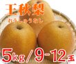 画像1: ☆【先行予約販売】大山町産・王秋梨（おうしゅうなし） ５kg 詰 （９〜１２玉入）【ギフトに最適】【１１月初旬頃より発送】※玉数のご指定はお受け出来ません。どちらかの玉数でのお届けになります。 (1)