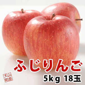 大山恵みの里 通販サイト 大山町産 ふじりんご 5kg 18玉 11月中旬 12月中旬頃の発送