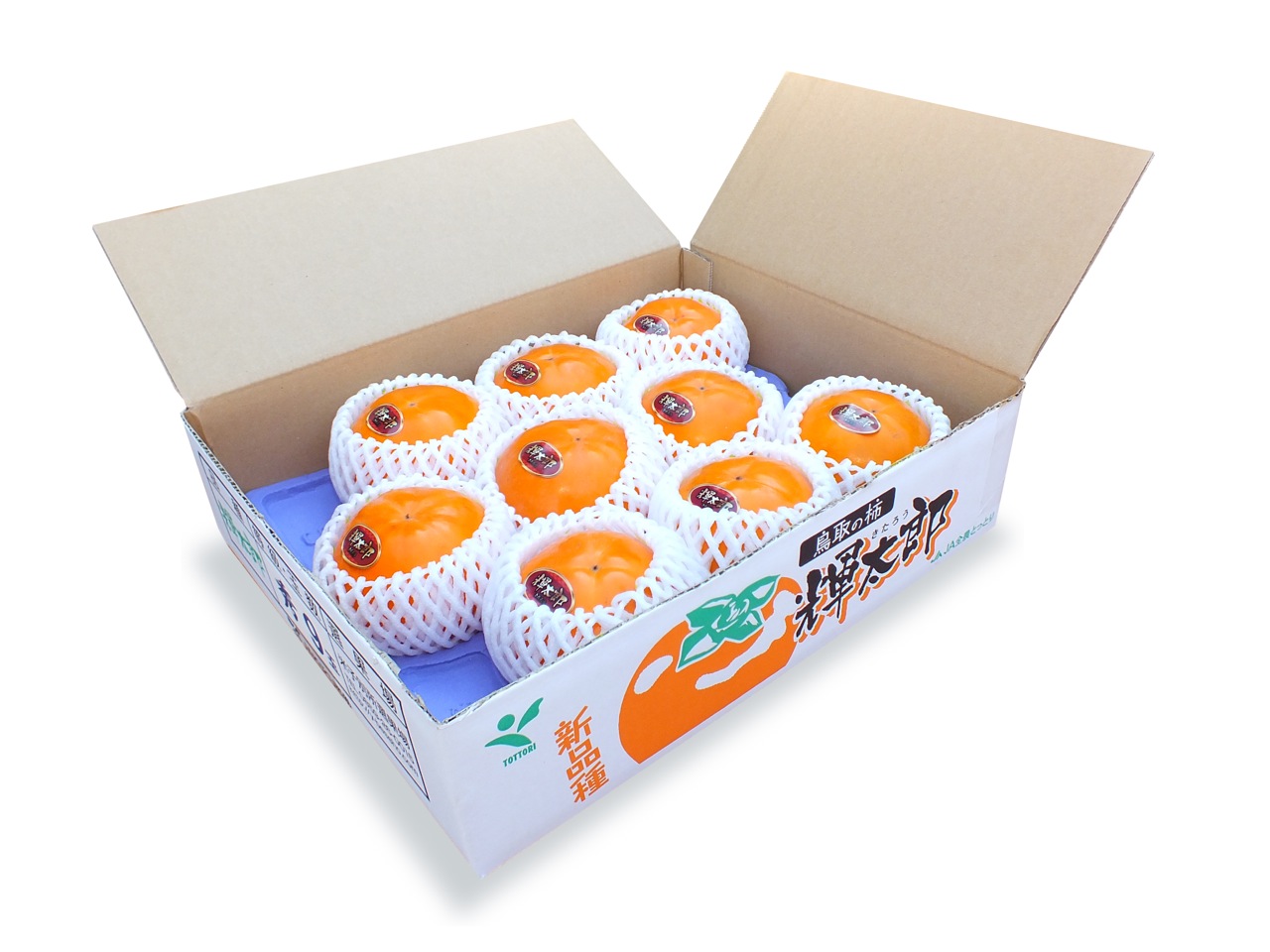 柿　冬柿　予約販売　80サイズ箱分