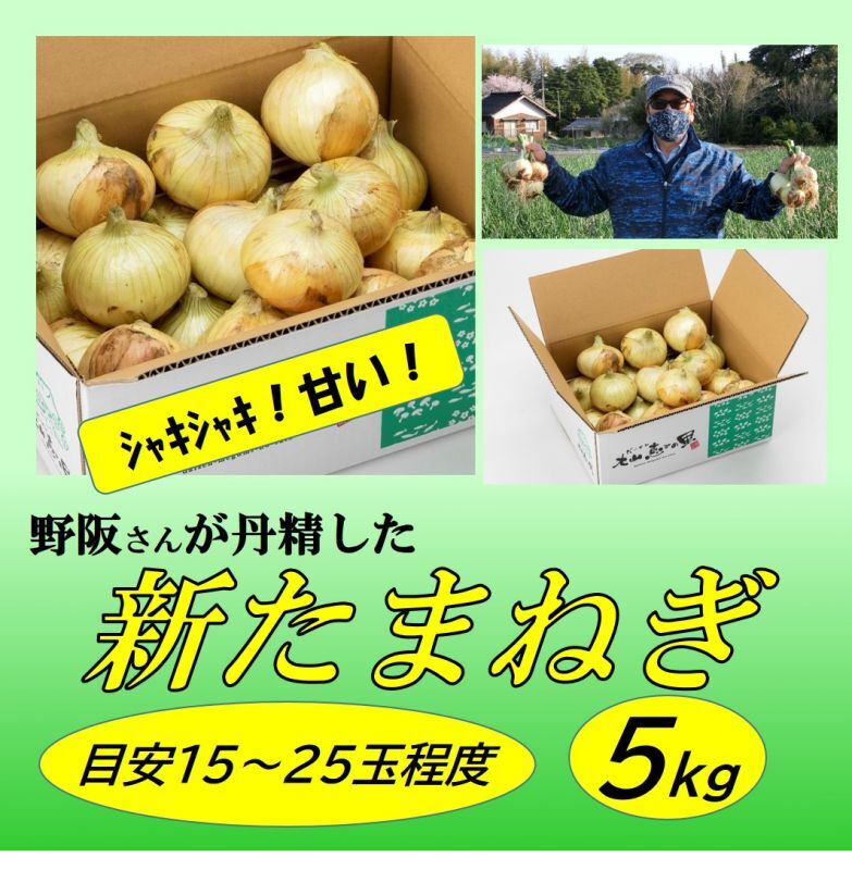 大山恵みの里 通販サイト 大山の新玉ねぎ 5kg箱 大山恵みの里 通販サイト 大山の新玉ねぎ 5kg箱