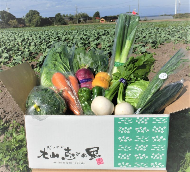 お休みいたします】　2024,1,8　〜　〜新鮮な大山町産の旬野菜を箱いっぱいに詰めました　大山恵みの里　2023,12,29　ふるさと便野菜セットの発送は　通販サイト：ふるさと便　【年末年始